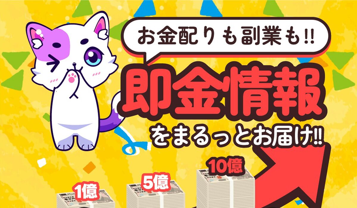 キャリアアップの内容は?<span width=